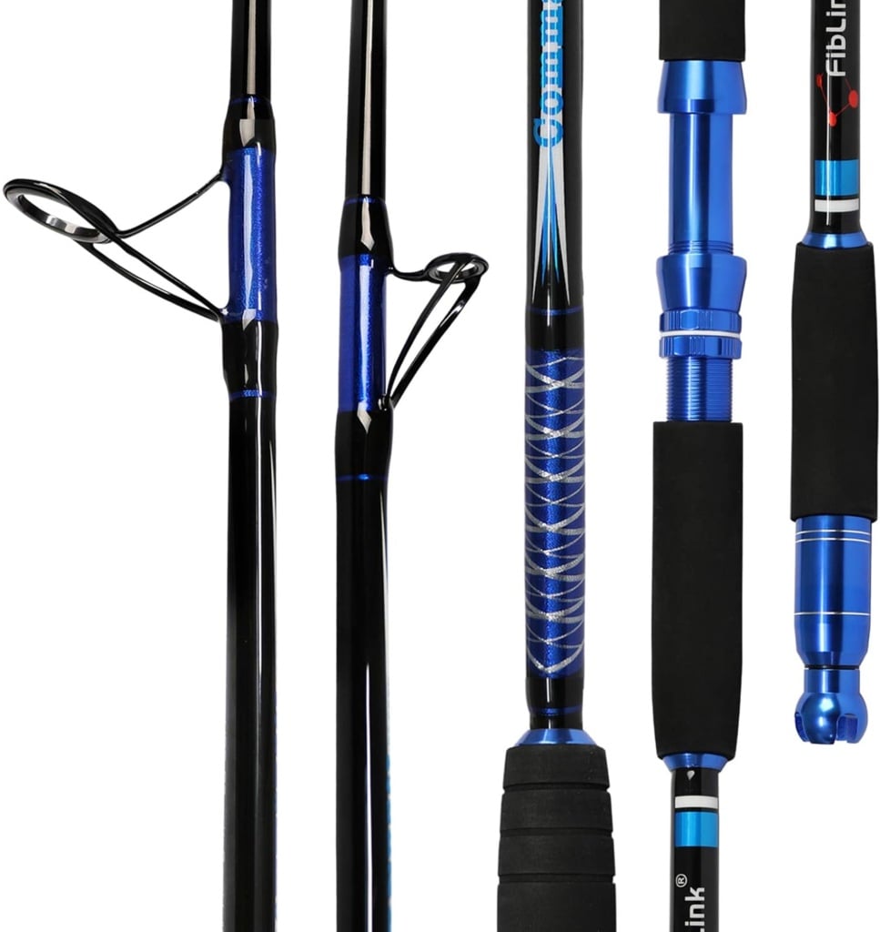 Fiblink Saltwater Fishing Rod Carbon Fiber Jigging Rod with 2 Piece Twin-Tip Spinning  Casting Portable Travel Fishing Jig Rod (30-50lb/50-80lb/80-120lb) (Twin-tip-66-Spinning  Casting-2pcs)