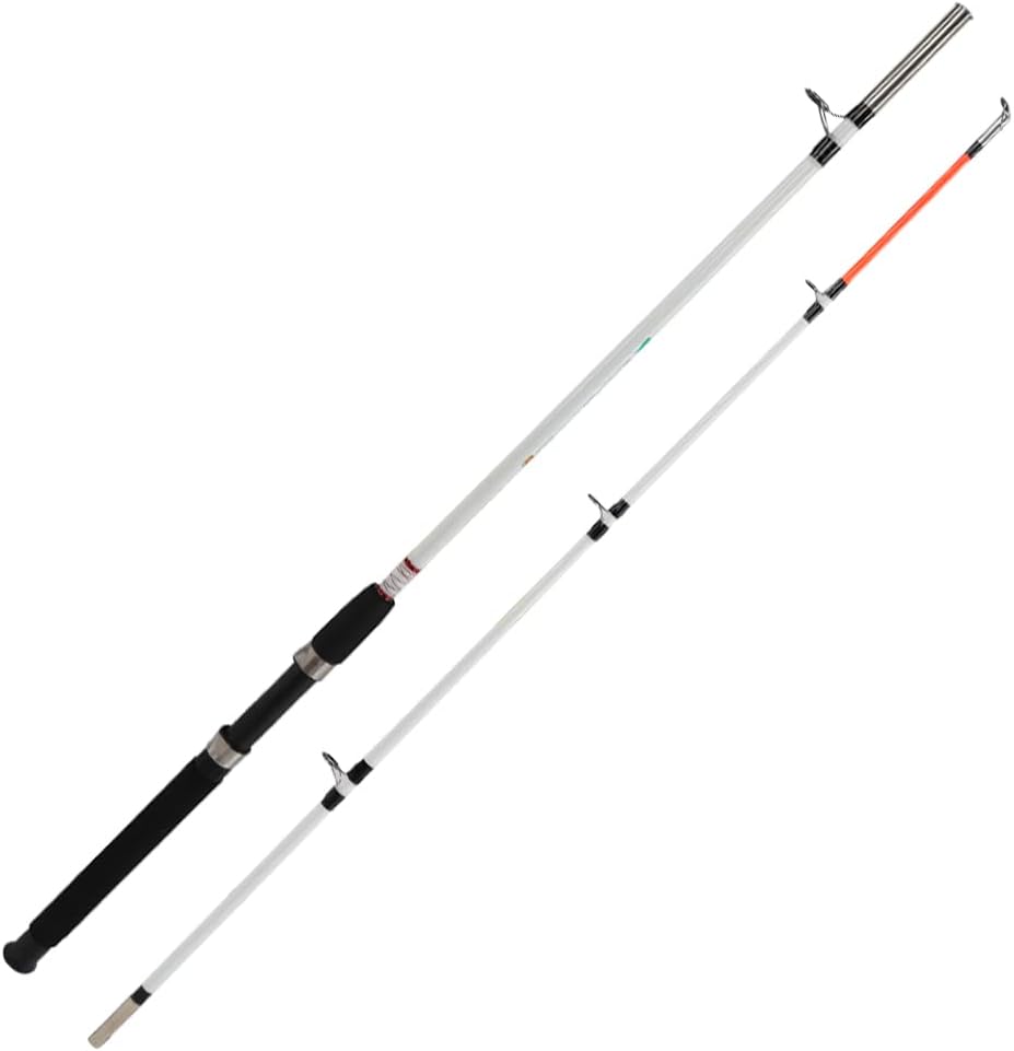 Berkley Big Game Spinning Fishing Rod