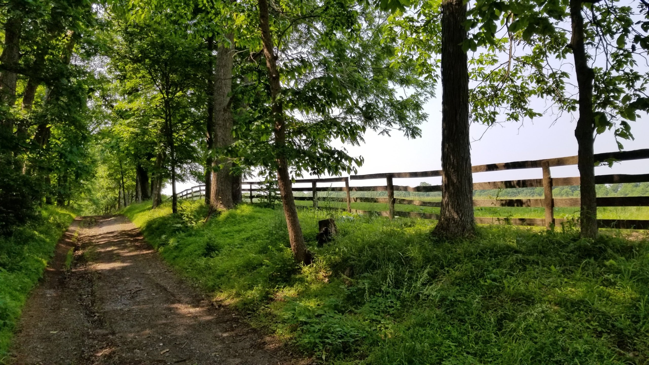 Do I Need A Permit To Go Boating In Pennsylvania?