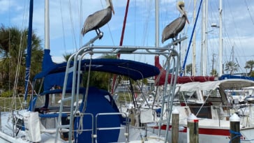 Nice when you have Pelican ornaments on your boat.