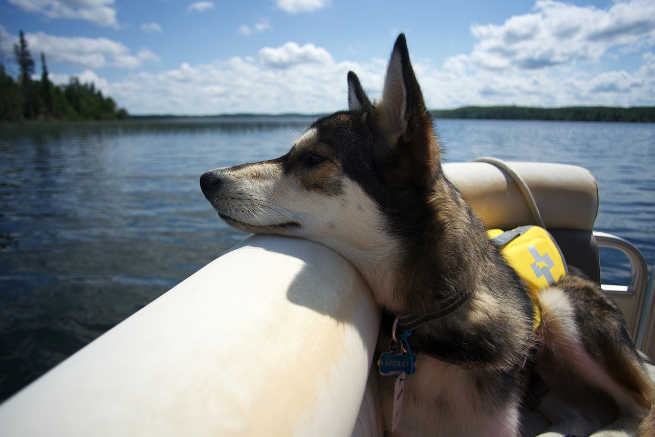 How Much Does It Cost To Rent A Pontoon Boat?
