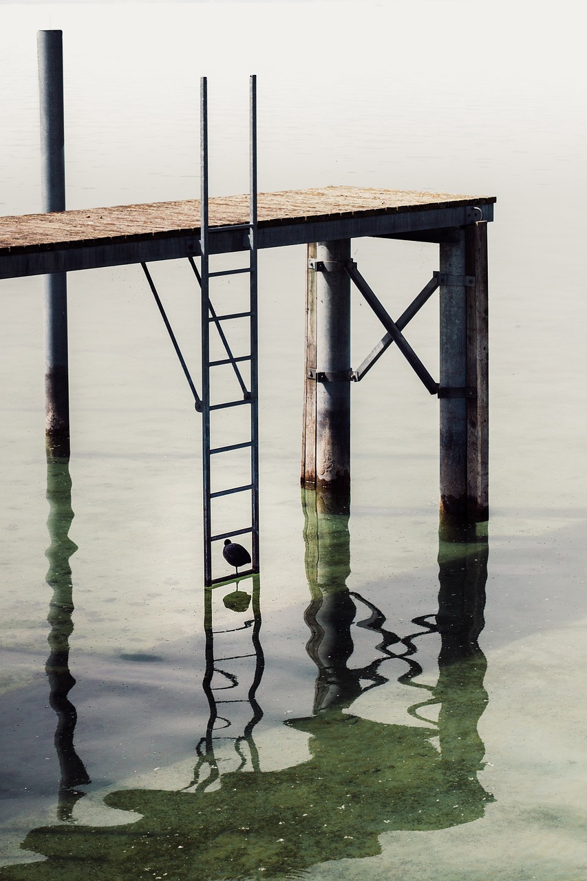 Are There Specific Ladder Options For Pontoon Boats?