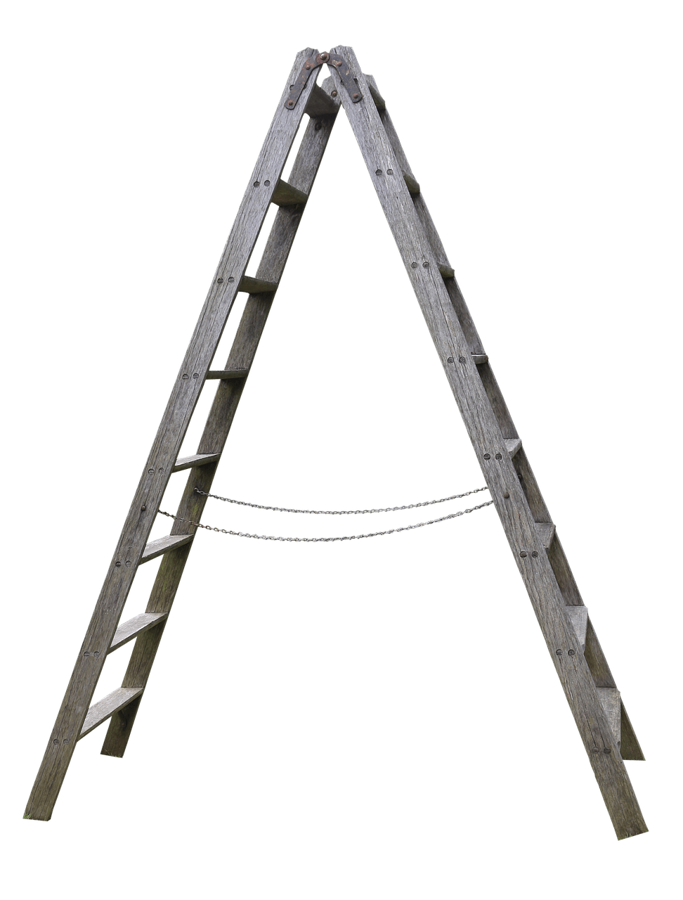 Are There Specific Ladder Options For Pontoon Boats?