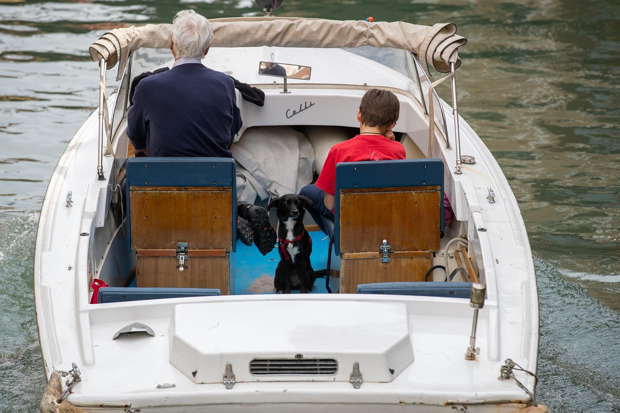 What Are Some Popular Boating Dog Breeds?