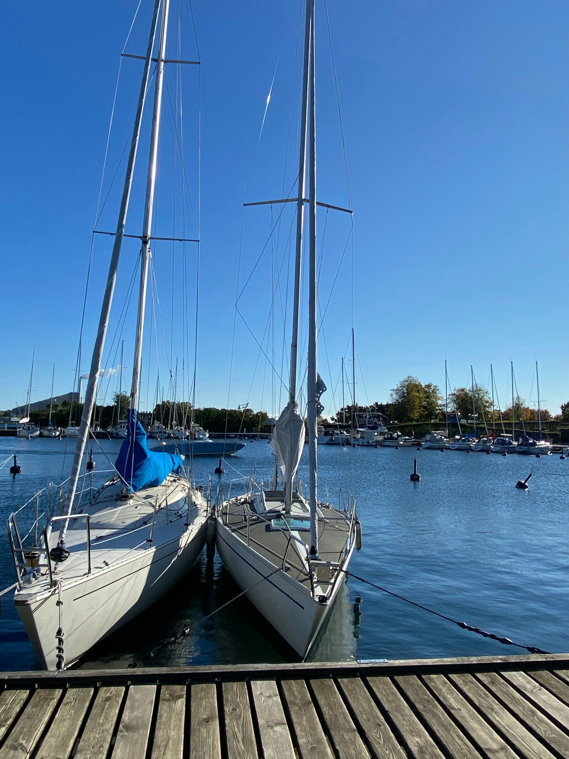 What Are The Differences Between Different Boating Compasses?