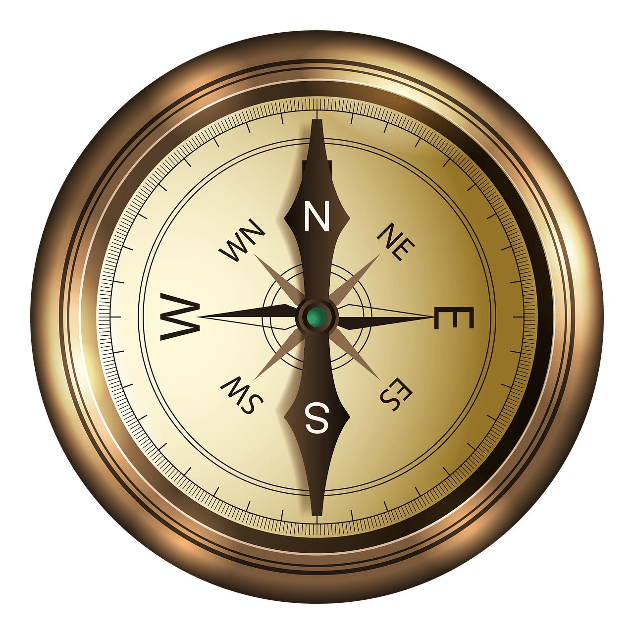 What Are The Differences Between Different Boating Compasses?