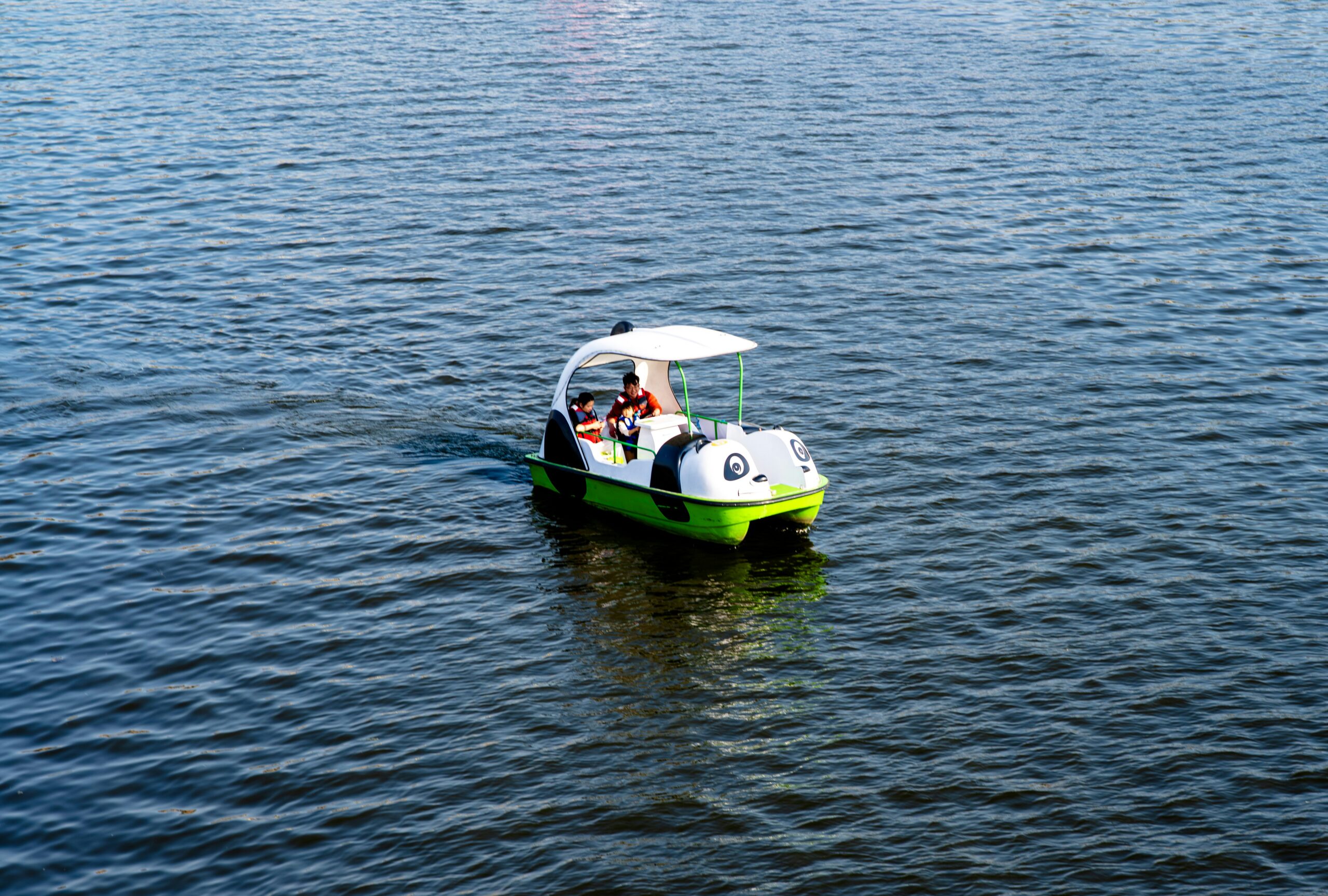 The Future of Sea Travel: A $20,000 Mini Electric Jet Boat