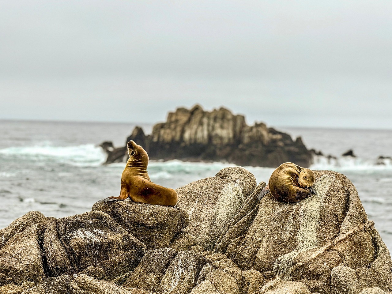 What Are Some Popular Monterey Boating Destinations? What Are Some Popular Monterey Boating Destinations?