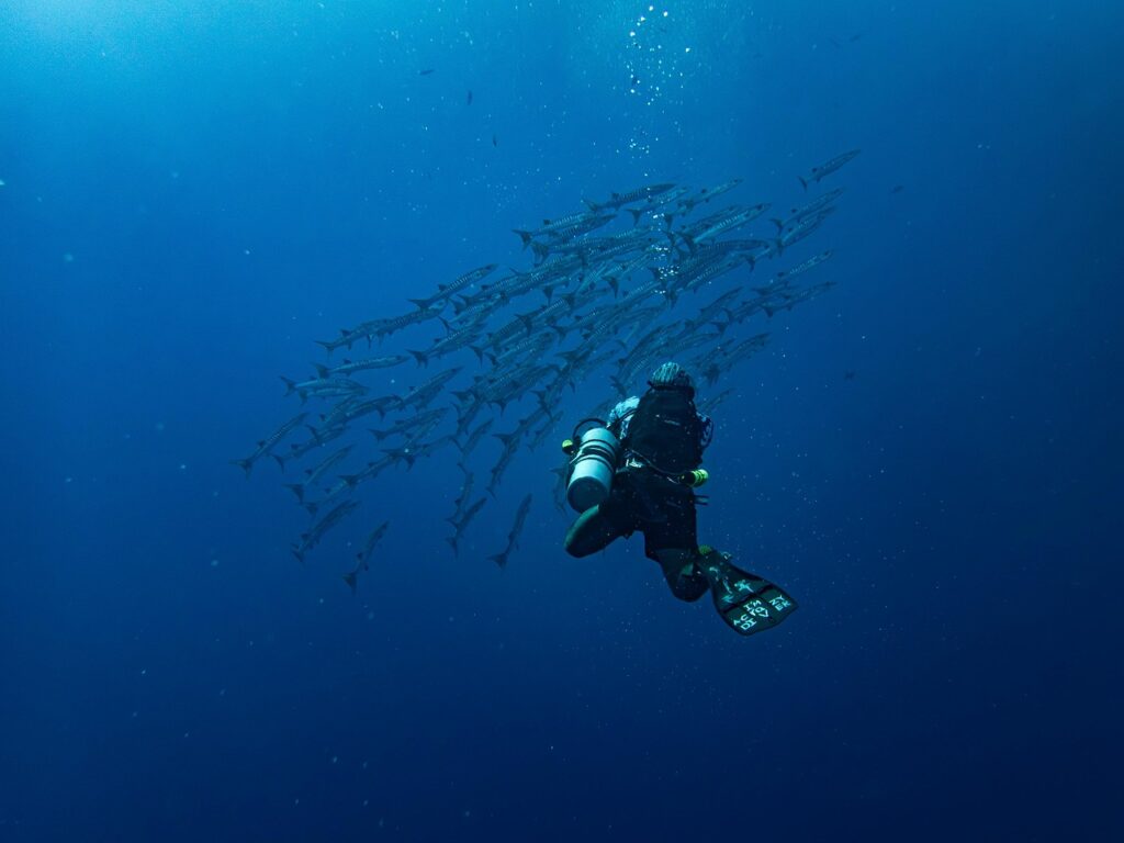 Exploring the Depths: Inside a Private Submarine for Three