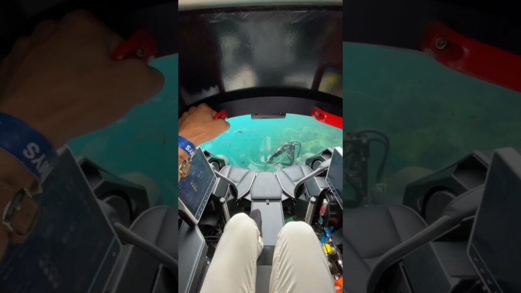 Exploring the Depths: Inside a Private Submarine for Three