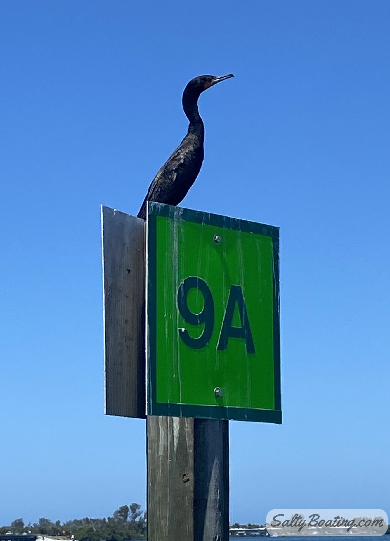 2026-04-28 Anna Maria Florida