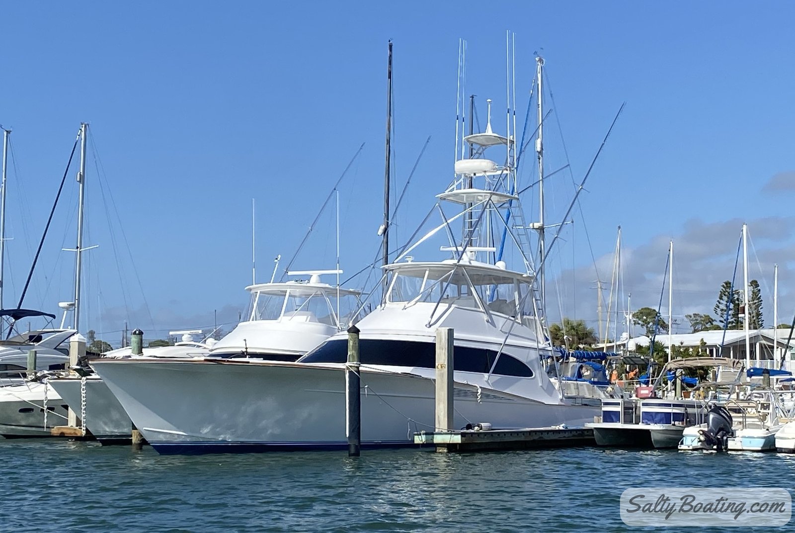 2026-01-25 Venice Florida