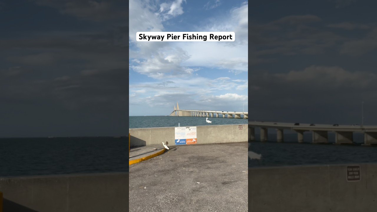Skyway Pier Fishing Report & Saltwater Tips — Florida 2026