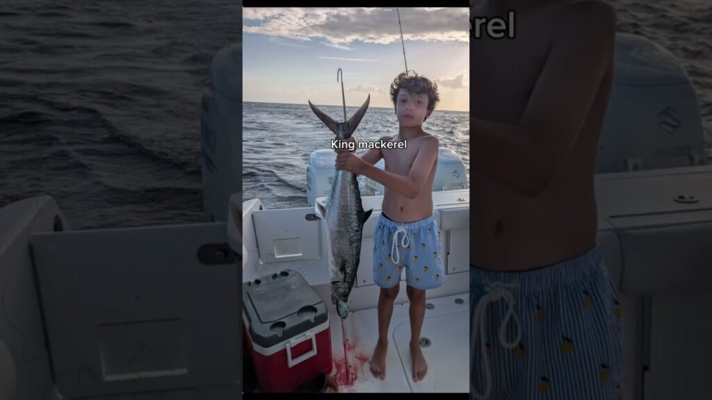 Which saltwater fish would you rather catch?🤨 #fishing #saltwaterfishing Which saltwater fish would you rather catch?🤨 #fishing #saltwaterfishing