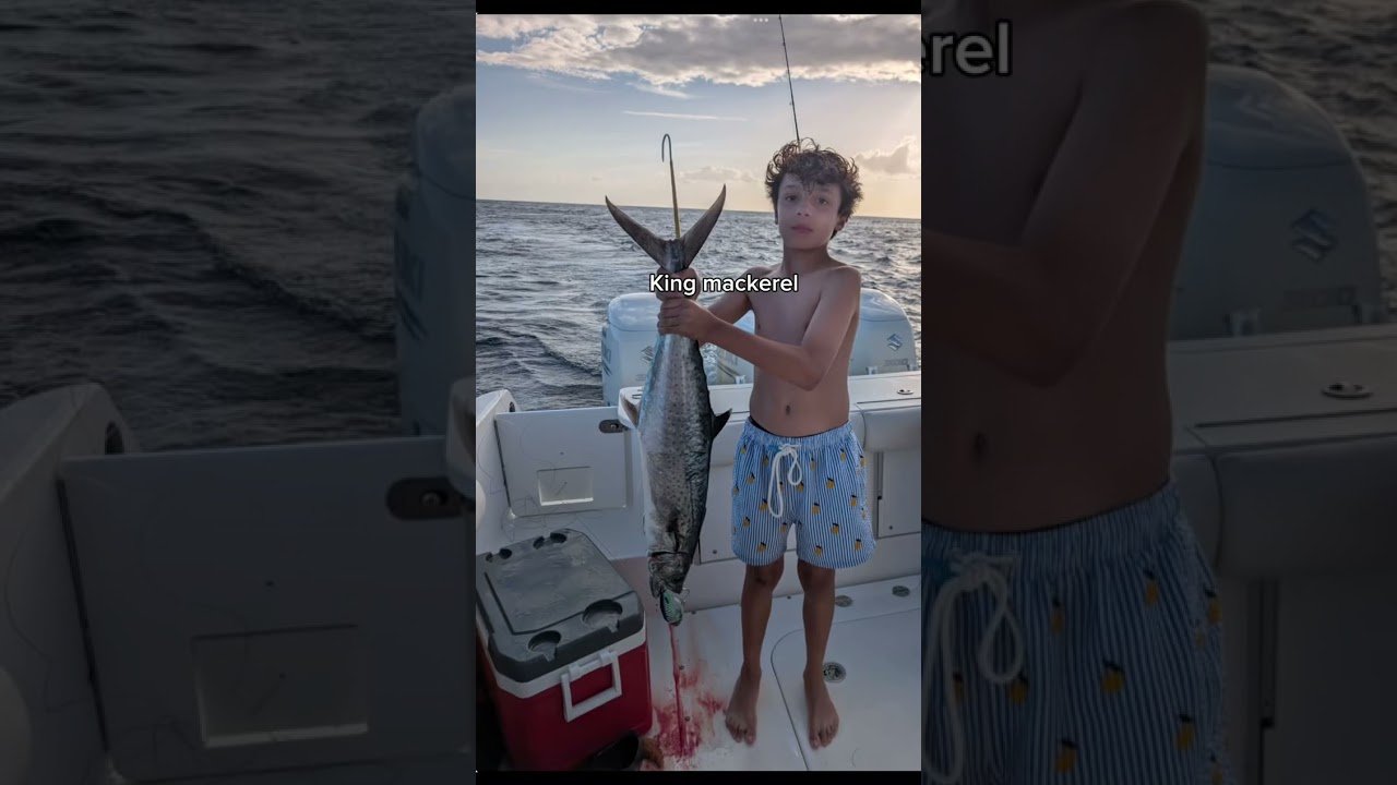 Saltwater Fishing Showdown: Which Fish Should You Target in 2026