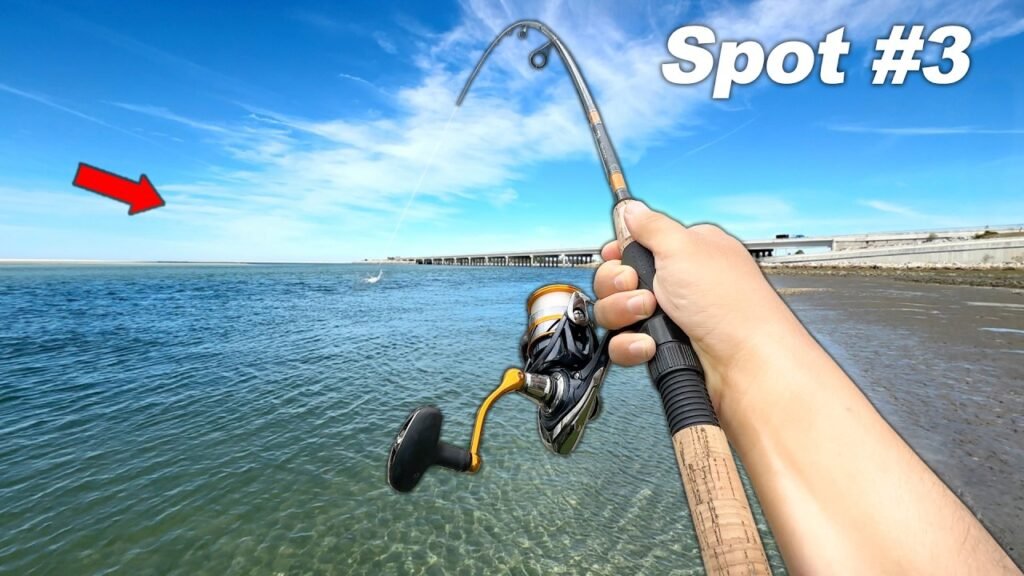 I Tried Fishing RANDOM Shore Spots… One was LOADED