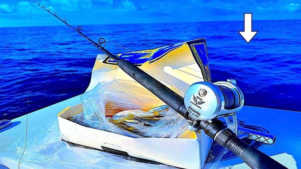 Fishing with Cigar Minnows Miles Offshore and Caught THIS for Dinner! [Catch, Clean, Cook]