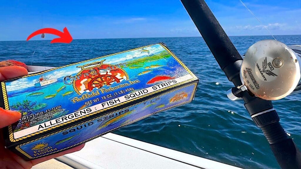 Fishing SOLO Offshore With SQUID STRIPS and Hooked Into THIS! *Multiple Species* Fishing SOLO Offshore With SQUID STRIPS and Hooked Into THIS! *Multiple Species*